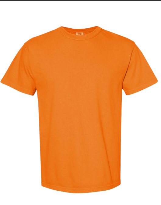MEDIUM PRE-ORDER COMFORT COLOR T-SHIRT 100% COTTON