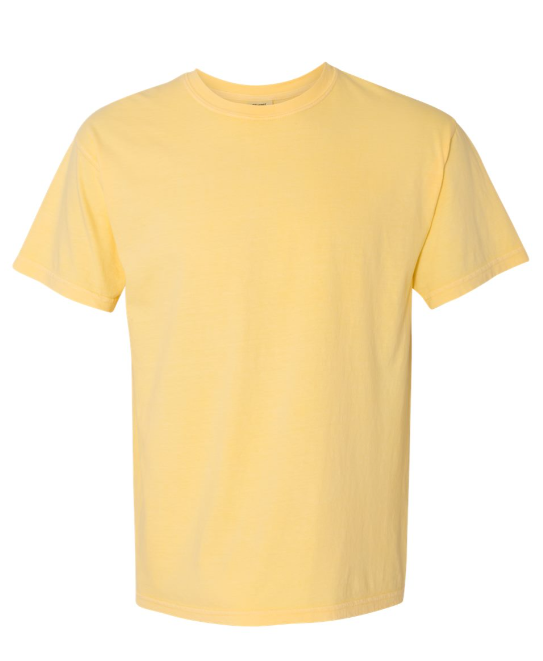 MEDIUM PRE-ORDER COMFORT COLOR T-SHIRT 100% COTTON