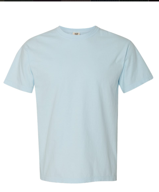 MEDIUM PRE-ORDER COMFORT COLOR T-SHIRT 100% COTTON