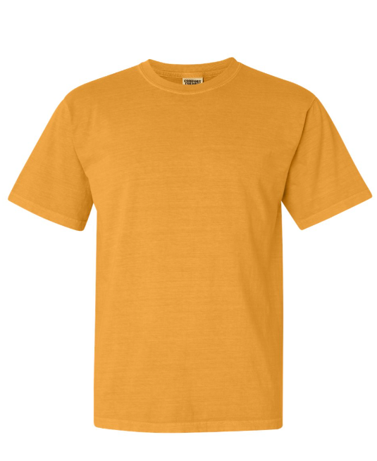 MEDIUM PRE-ORDER COMFORT COLOR T-SHIRT 100% COTTON