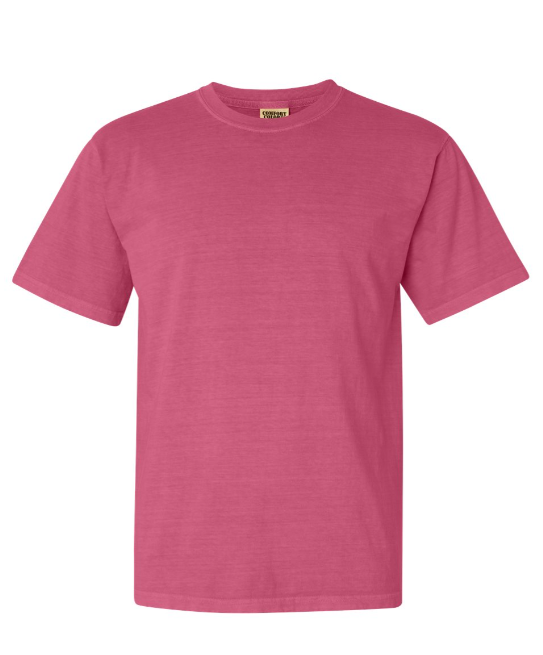 MEDIUM PRE-ORDER COMFORT COLOR T-SHIRT 100% COTTON