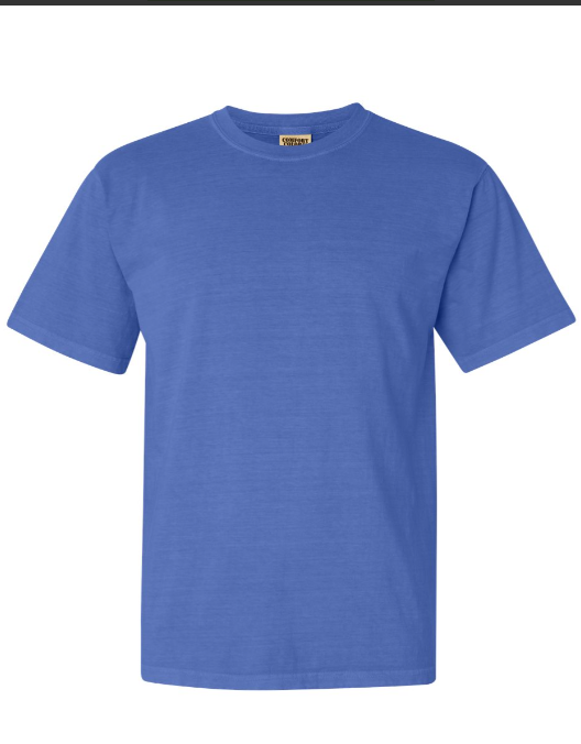 MEDIUM PRE-ORDER COMFORT COLOR T-SHIRT 100% COTTON