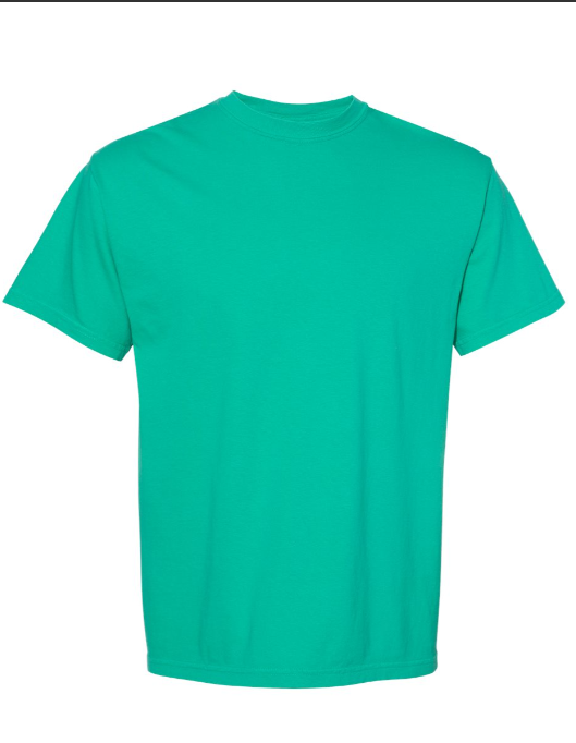 MEDIUM PRE-ORDER COMFORT COLOR T-SHIRT 100% COTTON