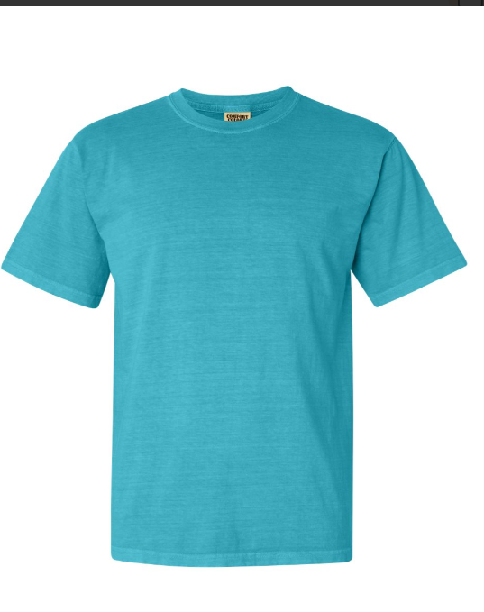 MEDIUM PRE-ORDER COMFORT COLOR T-SHIRT 100% COTTON