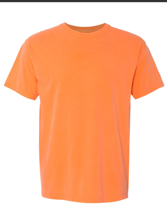 MEDIUM PRE-ORDER COMFORT COLOR T-SHIRT 100% COTTON