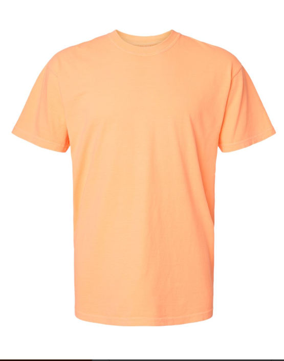 MEDIUM PRE-ORDER COMFORT COLOR T-SHIRT 100% COTTON