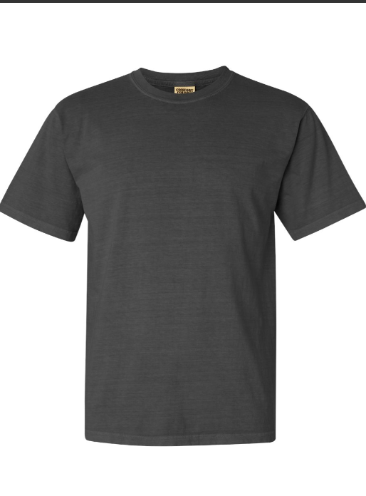 MEDIUM PRE-ORDER COMFORT COLOR T-SHIRT 100% COTTON
