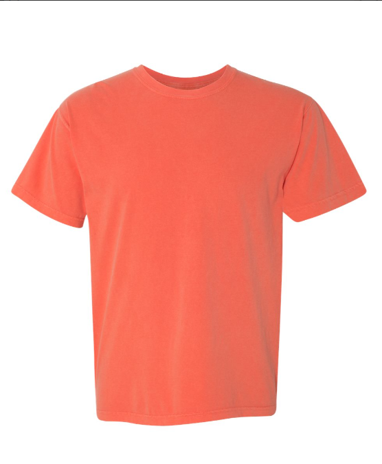 MEDIUM PRE-ORDER COMFORT COLOR T-SHIRT 100% COTTON