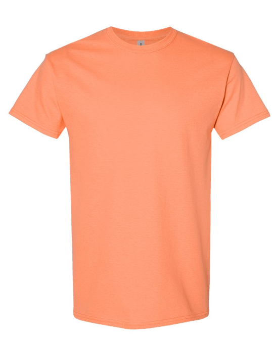 SMALL PRE-ORDER GILDAN 100% HEAVY COTTON T-SHIRT