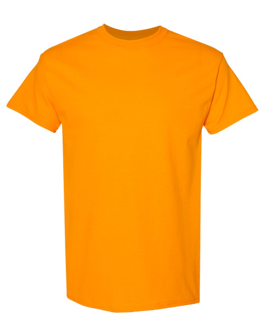 SMALL PRE-ORDER GILDAN 100% HEAVY COTTON T-SHIRT