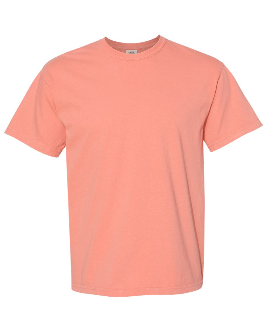 MEDIUM PRE-ORDER COMFORT COLOR T-SHIRT 100% COTTON
