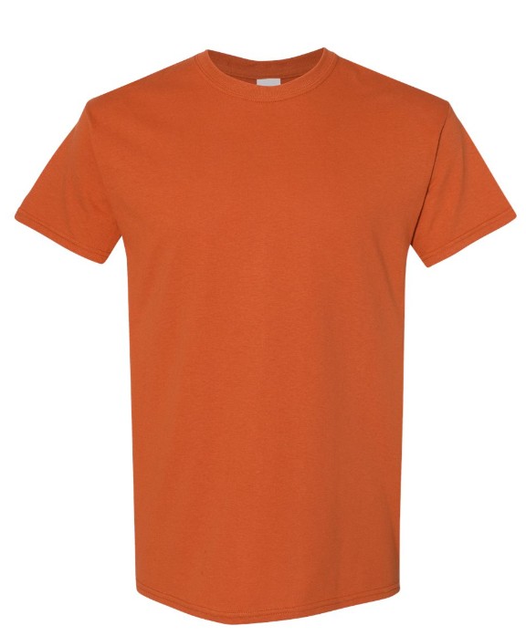 SMALL PRE-ORDER GILDAN 100% HEAVY COTTON T-SHIRT