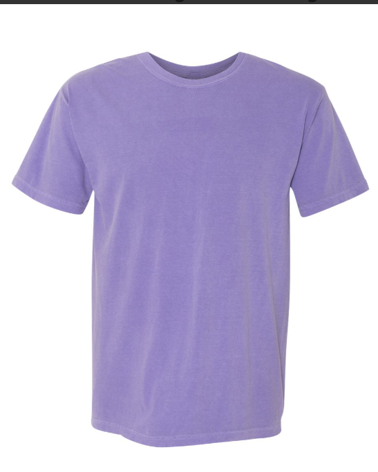 MEDIUM PRE-ORDER COMFORT COLOR T-SHIRT 100% COTTON