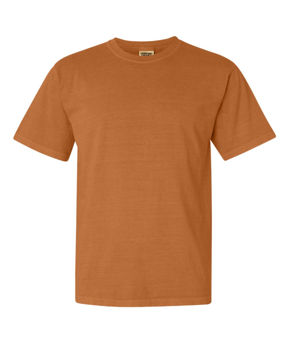 MEDIUM PRE-ORDER COMFORT COLOR T-SHIRT 100% COTTON