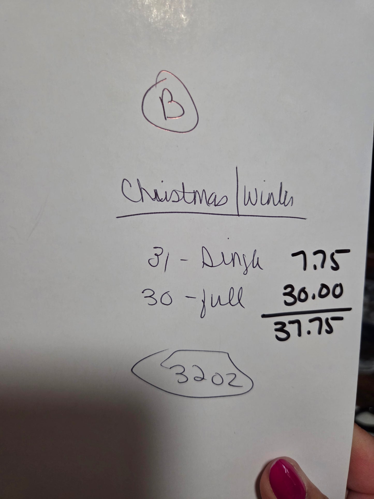 MYSTERY CHRISTMAS/WINTER SCREEN PRINT TRANSFER PACK B