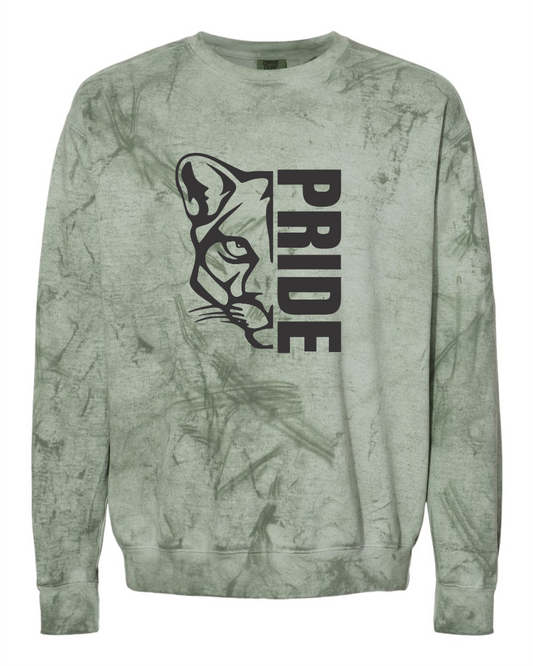 CLOW PRIDE FERN COMFORT COLORS COLORBLAST CREW SWEATSHIRT