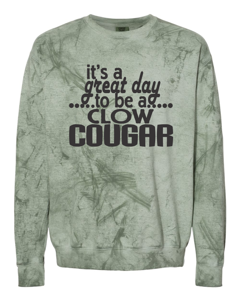 CLOW GREAT DAY FERN COMFORT COLORS COLORBLAST CREW SWEATSHIRT