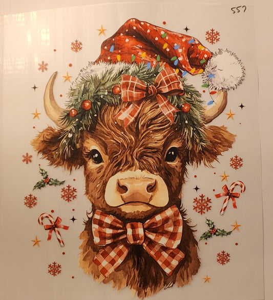 FESTIVE HEIFER 557