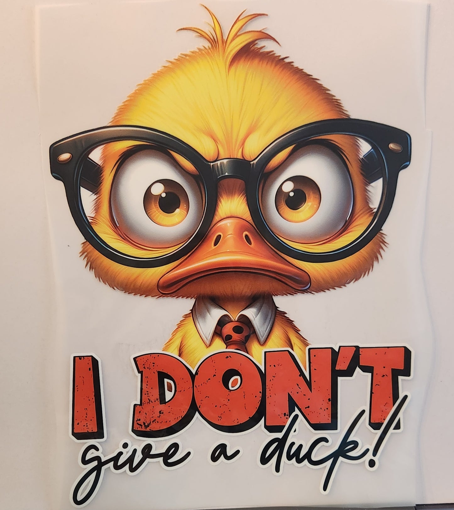 I DON'T GIVE A DUCK! 843