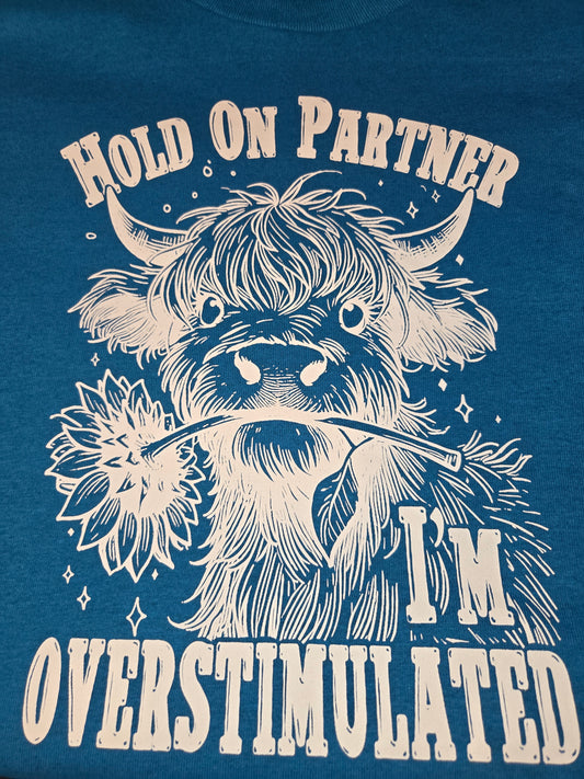HOLD ON PARTNER I'M OVERSTIMULATED SCREEN PRINT TRANSFER