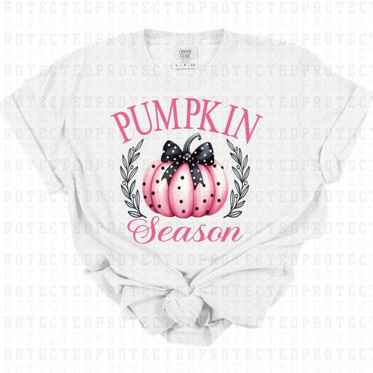 PUMKPIN SEASON (2 SIZES) FULL COLOR PRINTED APPAREL 101