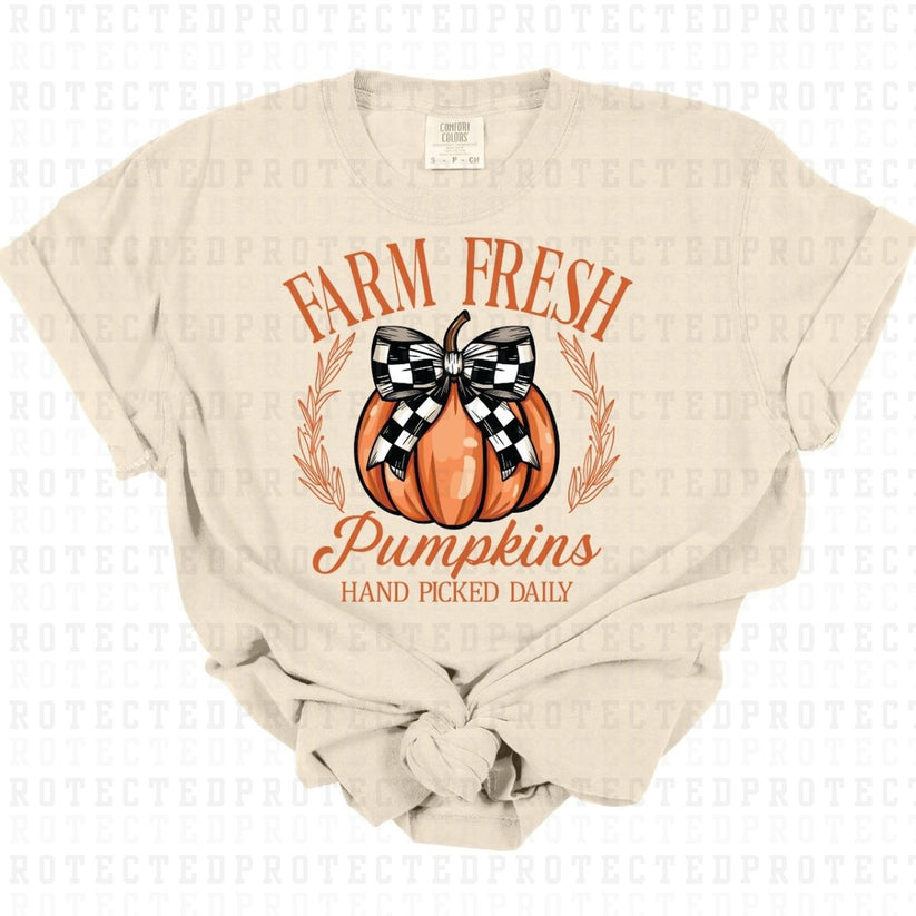 FARM FRESH PUMPKINS HAND PICKED FULL COLOR PRINTED APPAREL 38