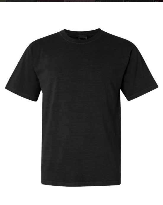 2XL PRE-ORDER COMFORT COLOR T-SHIRT