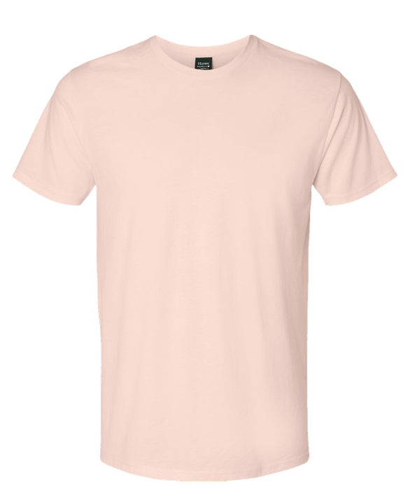 XL PRE-ORDER HANES T-SHIRT