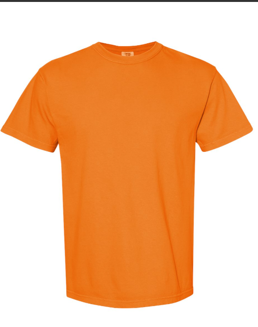 LARGE PRE-ORDER COMFORT COLOR T-SHIRT 100% COTTON