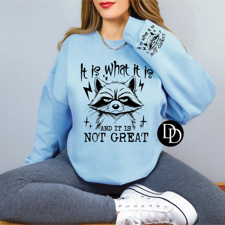 IT IS WHAT IT IS PRINTED APPAREL H7