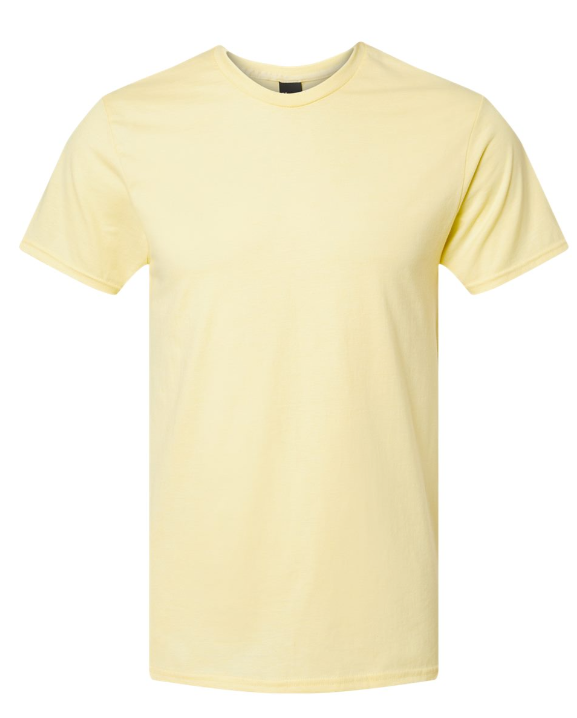 4XL PRE-ORDER HANES T-SHIRT