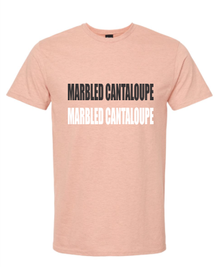 4XL MARBLED CANTALOUPE IN STOCK HANES T-SHIRT