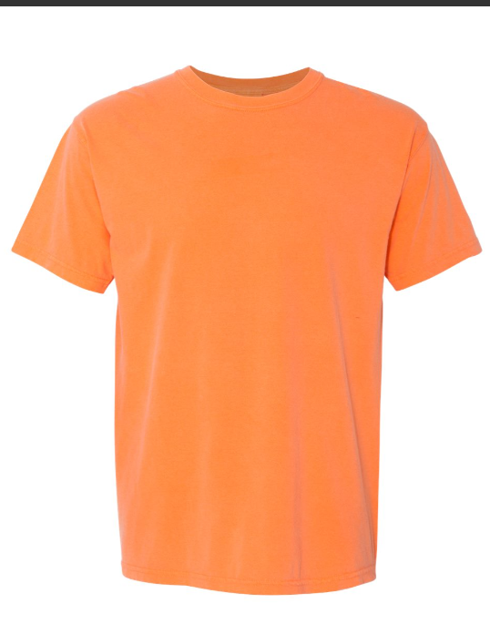 2XL PRE-ORDER COMFORT COLOR T-SHIRT