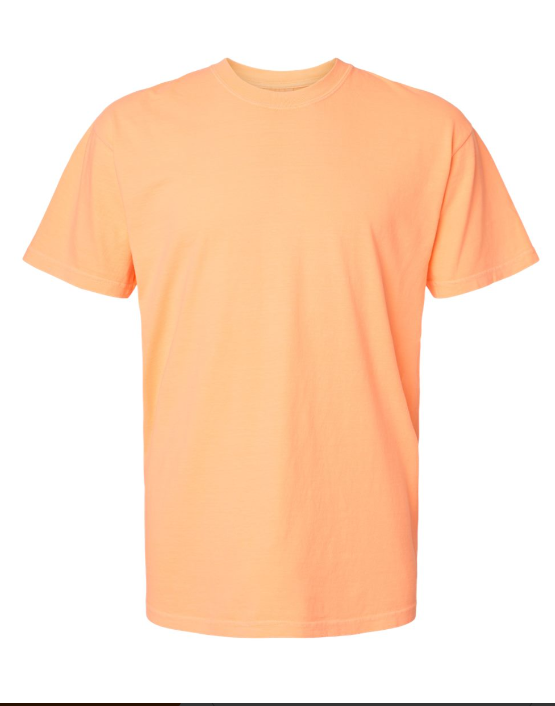 LARGE PRE-ORDER COMFORT COLOR T-SHIRT 100% COTTON