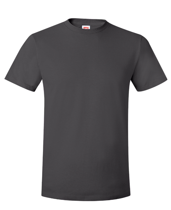 LARGE PRE-ORDER HANES T-SHIRT