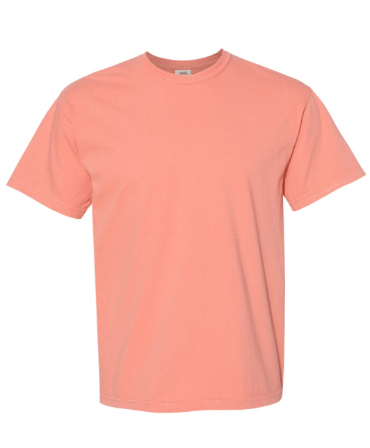 LARGE PRE-ORDER COMFORT COLOR T-SHIRT 100% COTTON