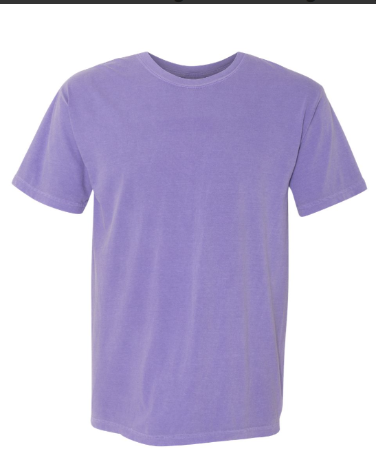 LARGE PRE-ORDER COMFORT COLOR T-SHIRT 100% COTTON