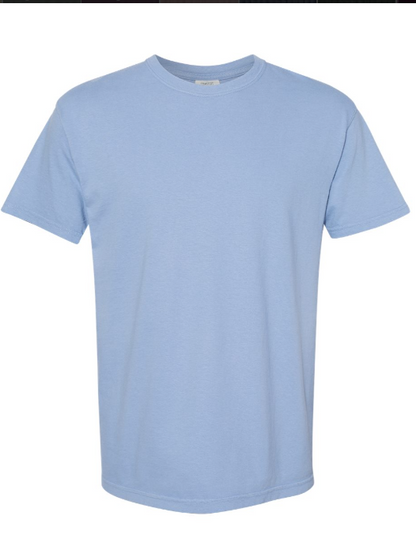 LARGE PRE-ORDER COMFORT COLOR T-SHIRT 100% COTTON