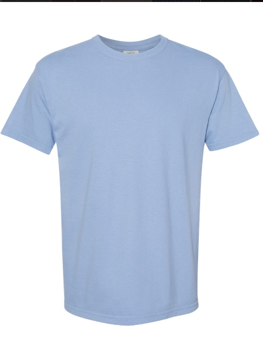 2XL PRE-ORDER COMFORT COLOR T-SHIRT