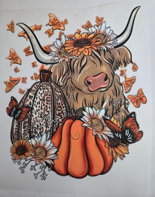 PUMPKIN HEIFER FULL COLOR PRINT